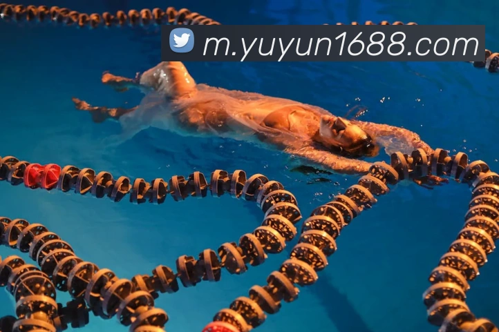 奖项证书